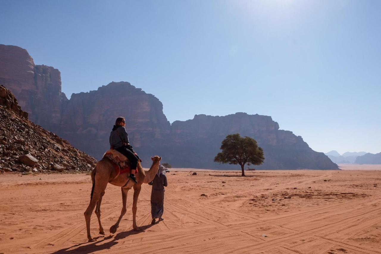 Wadi Rum Bedouin Camp And Desert Tours Exterior foto